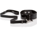 LEASH COLLAR SET